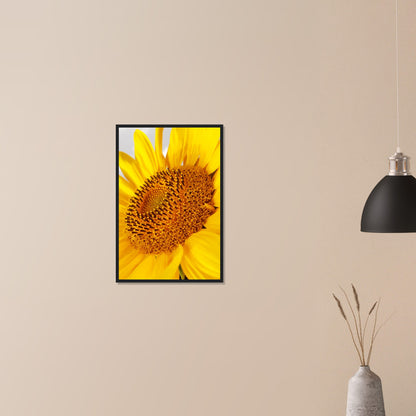 Golden Glow of Summer - Framed Poster - JDivine 