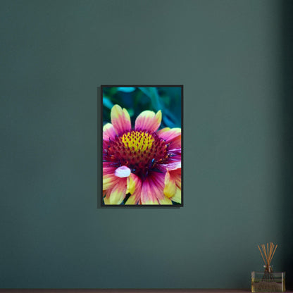 Vibrant Petal Symphony - Framed Poster - JDivine 