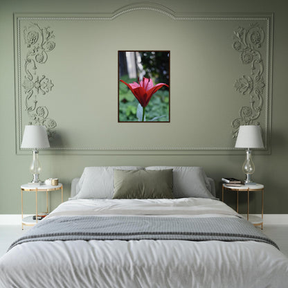 Crimson Embrace - Framed Poster - JDivine 