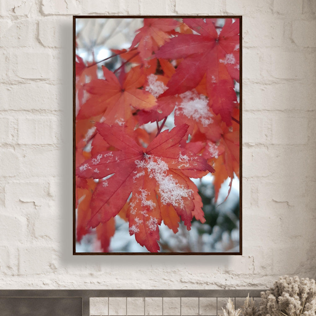 Snow-Kissed Maple Leaves - Framed Poster - JDivine 