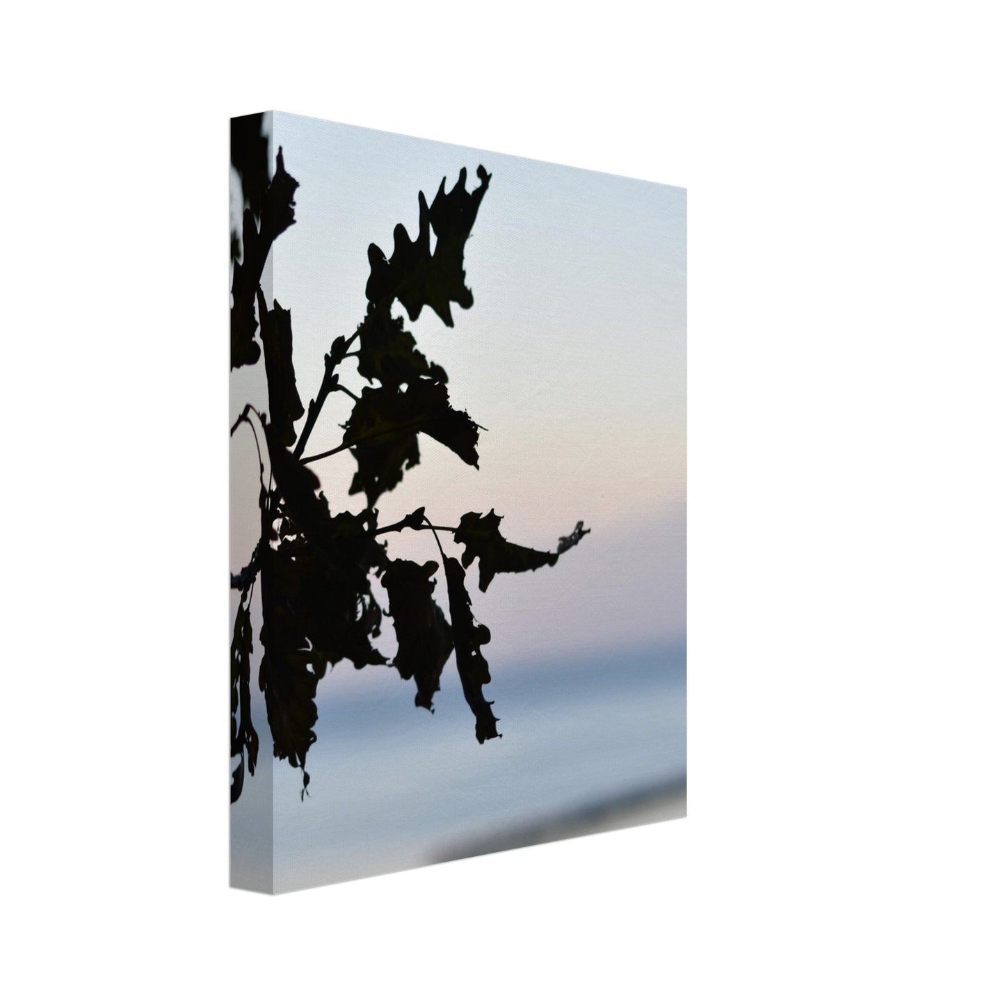 Twilight Whispers - Canvas - JDivine 