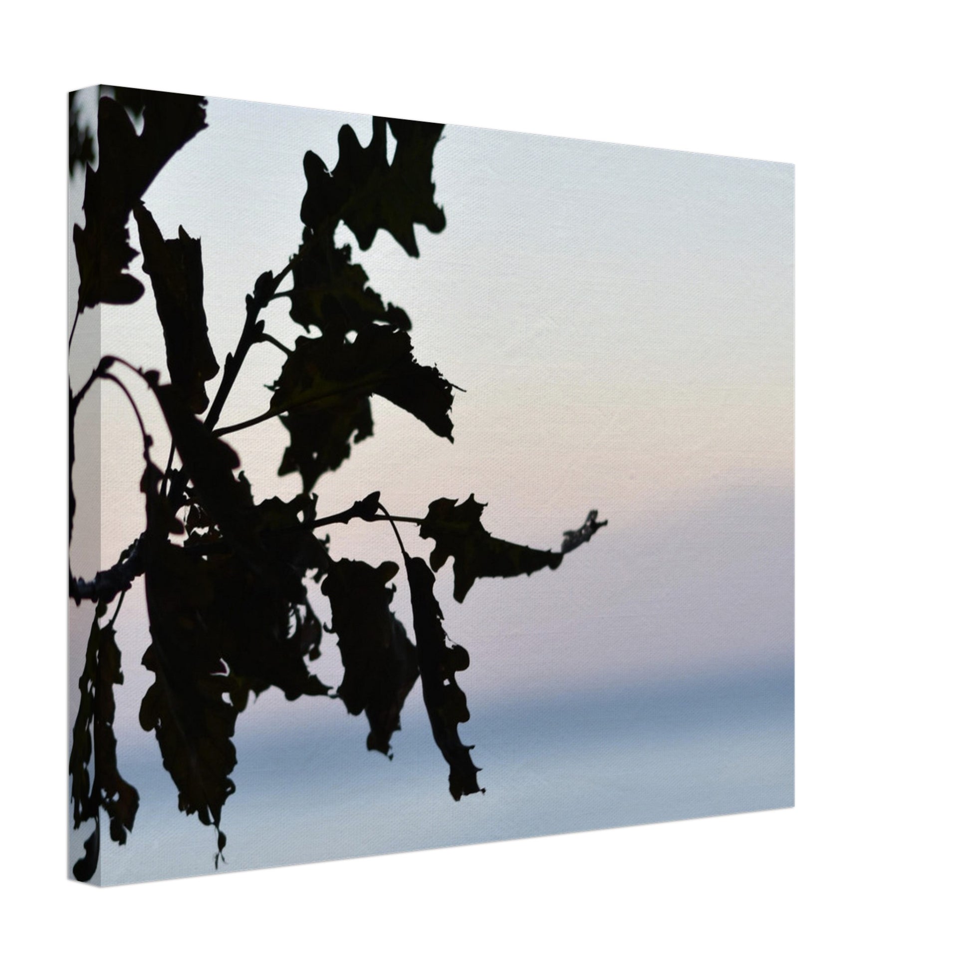 Twilight Whispers - Canvas - JDivine 