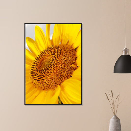 Golden Glow of Summer - Framed Poster - JDivine 