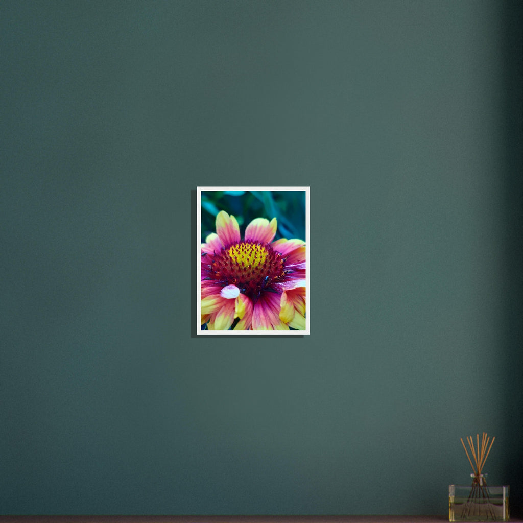 Vibrant Petal Symphony - Framed Poster - JDivine 