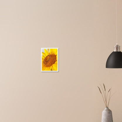 Golden Glow of Summer - Framed Poster - JDivine 