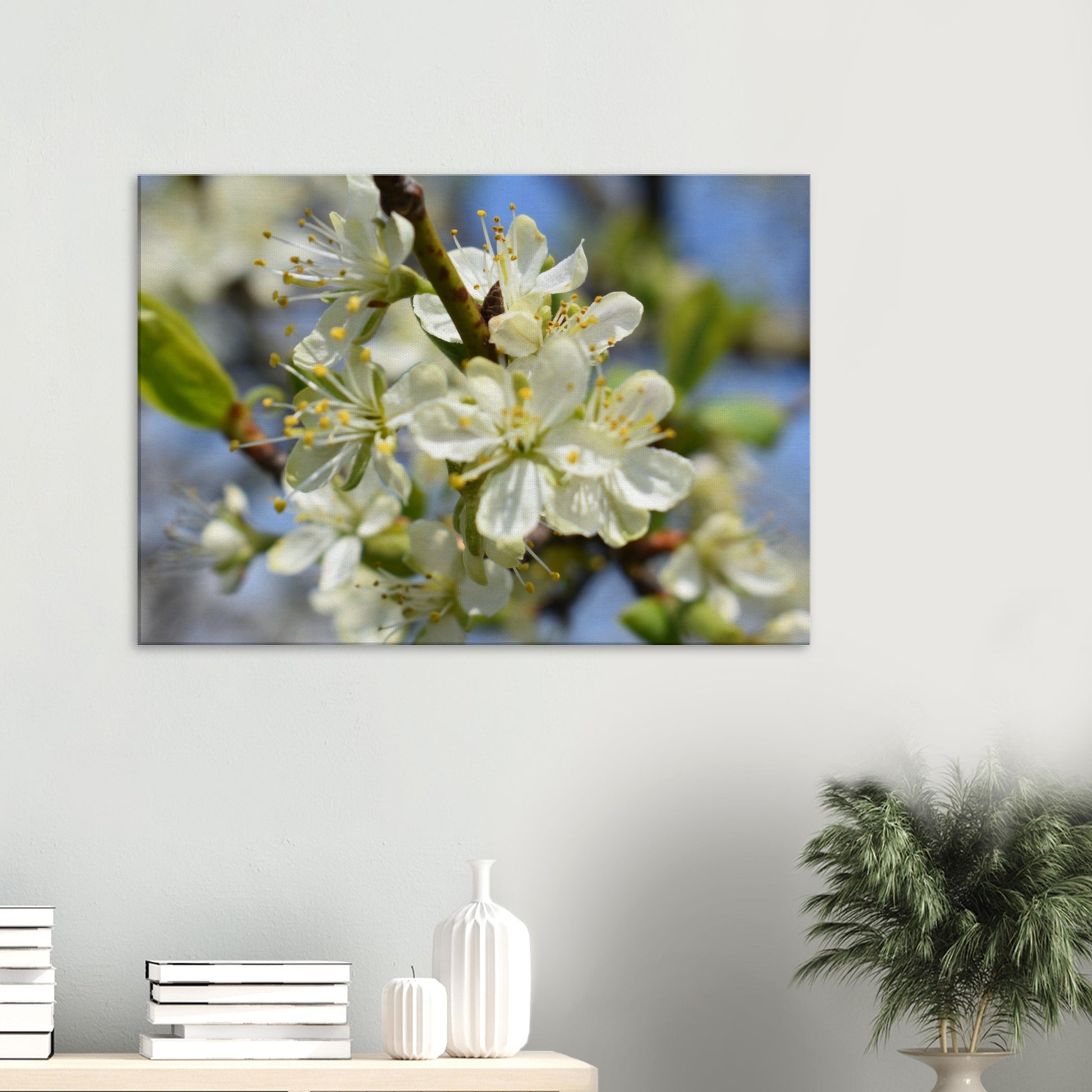 First Light of Spring - Canvas - JDivine 