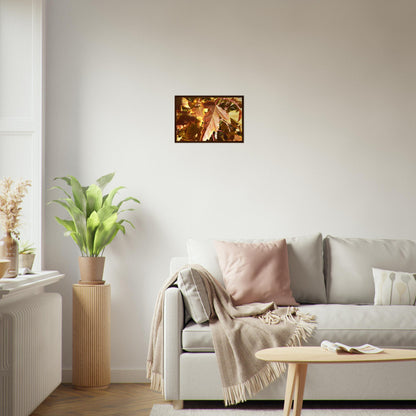 Autumn's Golden Glow - Framed Poster - JDivine 