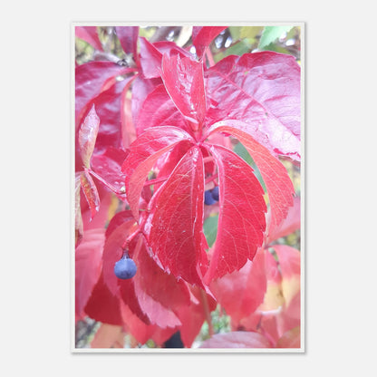 The Essence of Fall: Crimson and Blue - Framed Poster - JDivine 