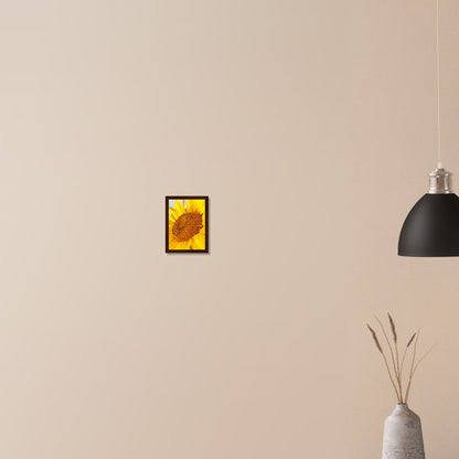 Golden Glow of Summer - Framed Poster - JDivine 