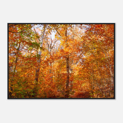 Colorful Trees - Framed Poster - JDivine 