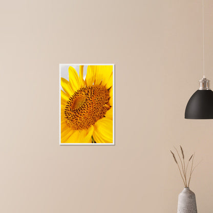 Golden Glow of Summer - Framed Poster - JDivine 