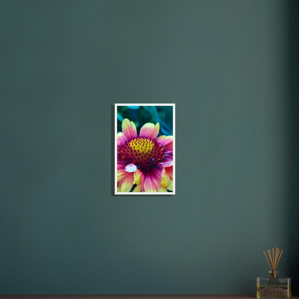 Vibrant Petal Symphony - Framed Poster - JDivine 