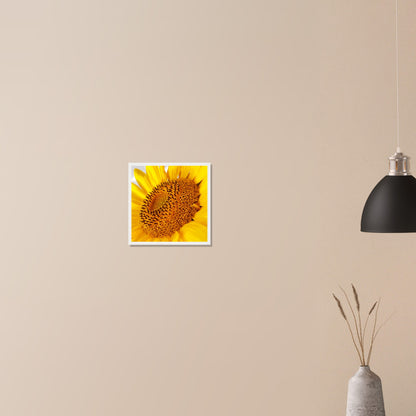 Golden Glow of Summer - Framed Poster - JDivine 