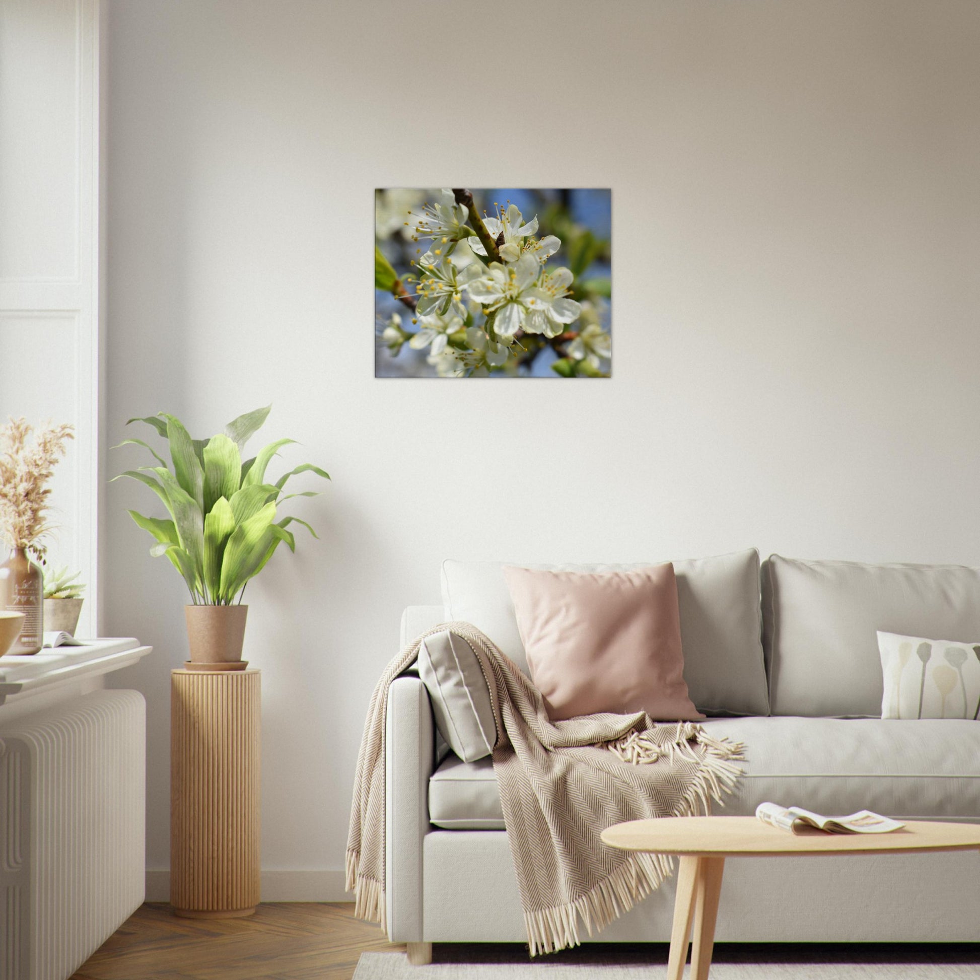 First Light of Spring - Canvas - JDivine 