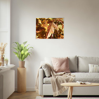 Autumn's Golden Glow - Framed Poster - JDivine 