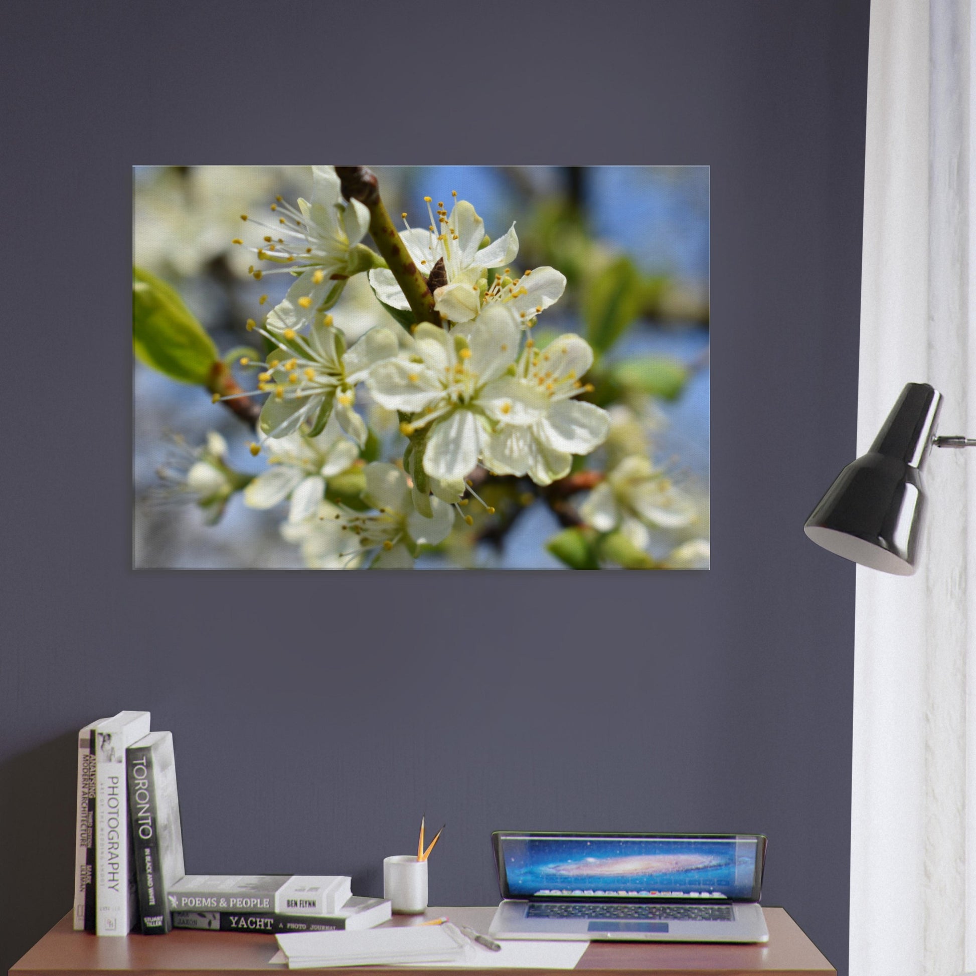 First Light of Spring - Canvas - JDivine 