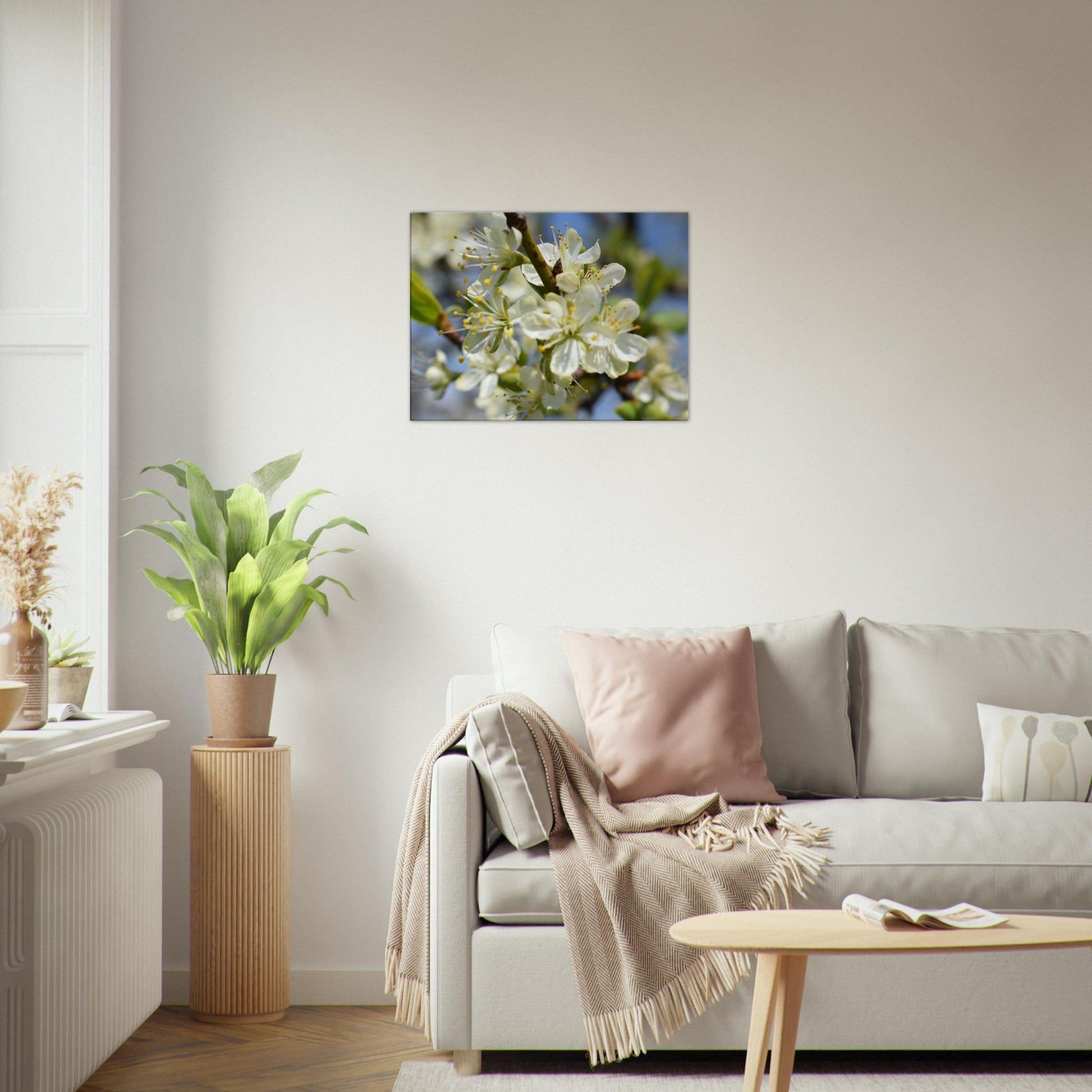 First Light of Spring - Canvas - JDivine 