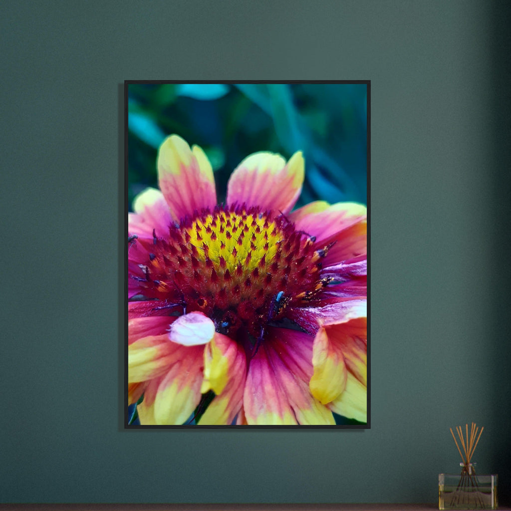 Vibrant Petal Symphony - Framed Poster - JDivine 
