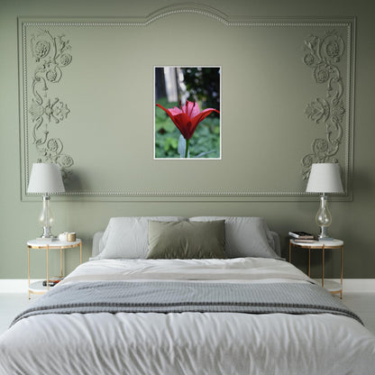 Crimson Embrace - Framed Poster - JDivine 