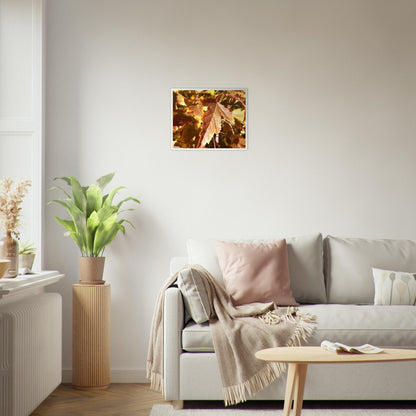 Autumn's Golden Glow - Framed Poster - JDivine 