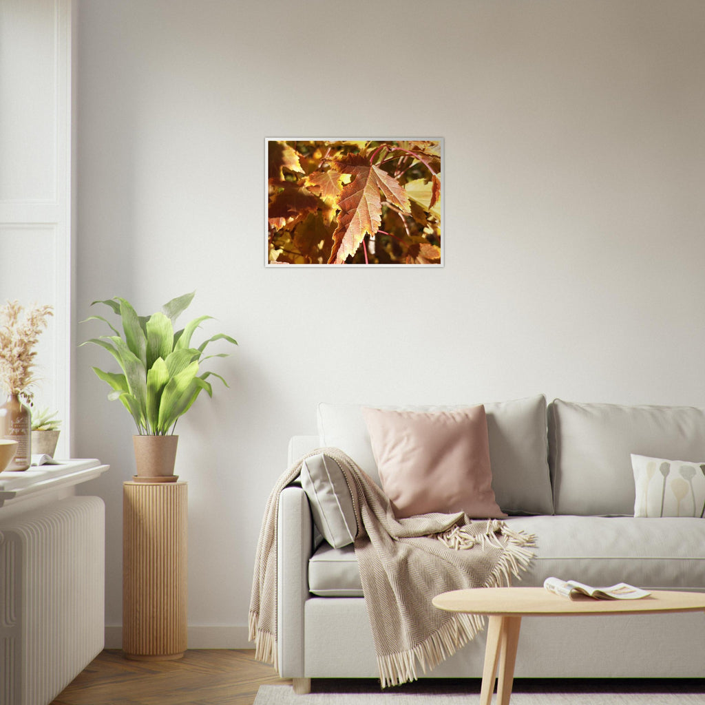 Autumn's Golden Glow - Framed Poster - JDivine 