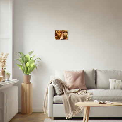 Autumn's Golden Glow - Framed Poster - JDivine 