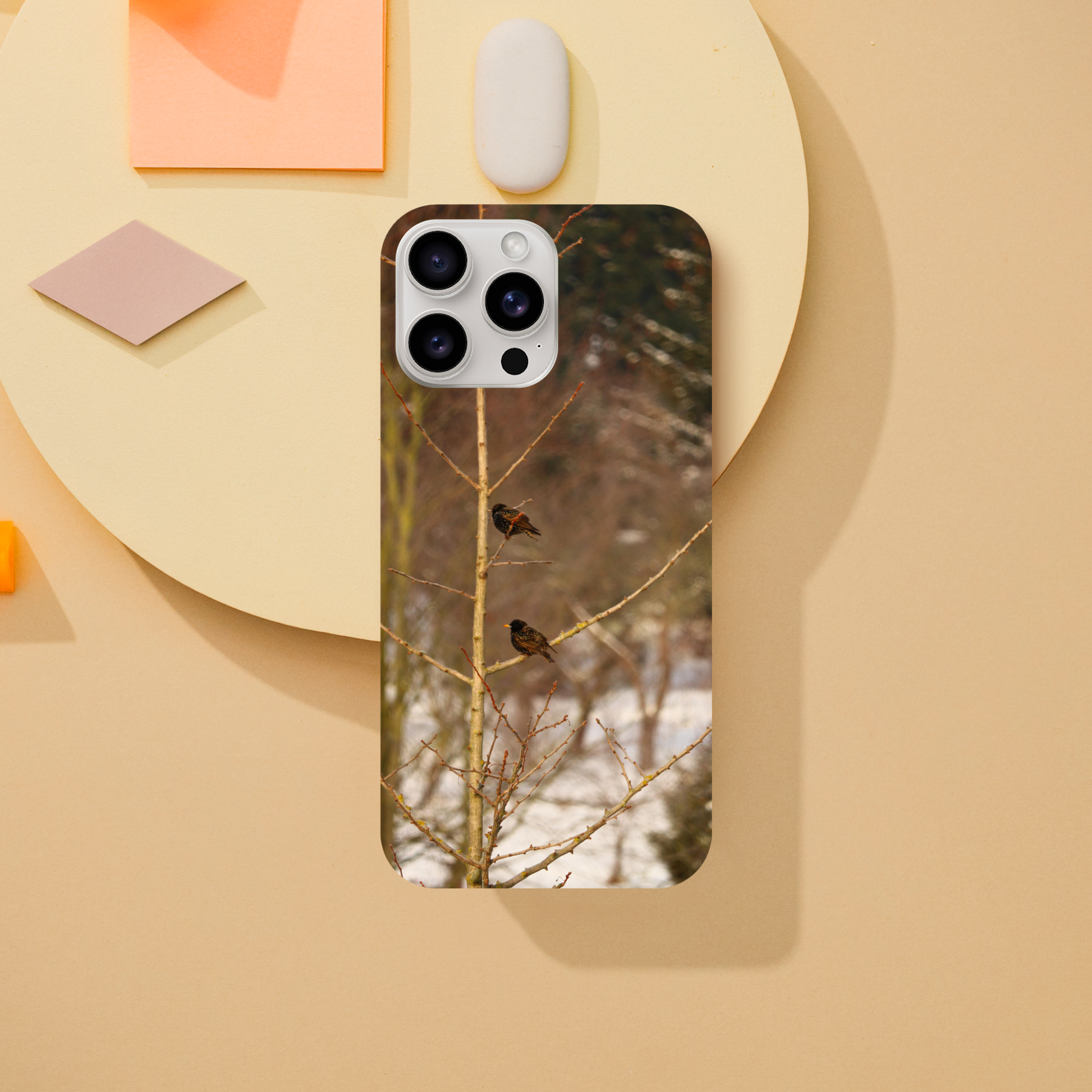 Feathered Winterday - Slim Phone Case - JDivine 