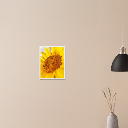 Golden Glow of Summer - Framed Poster - JDivine 