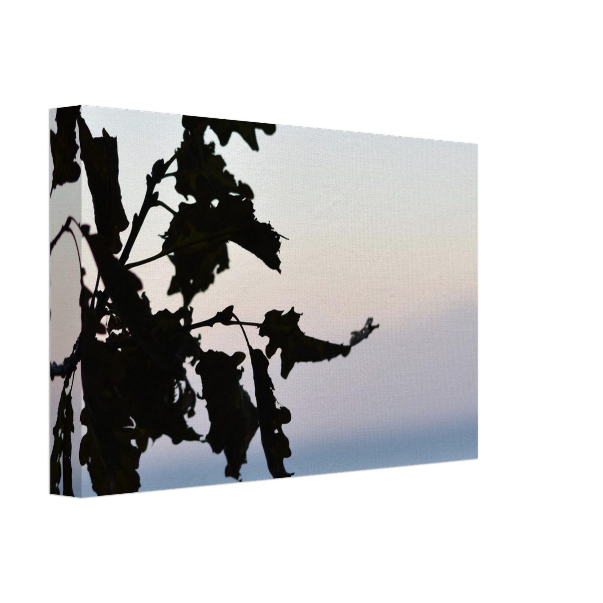 Twilight Whispers - Canvas - JDivine 