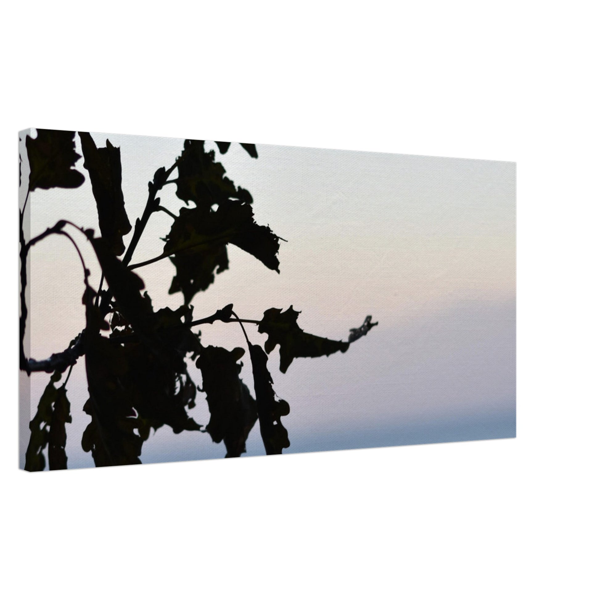 Twilight Whispers - Canvas - JDivine 