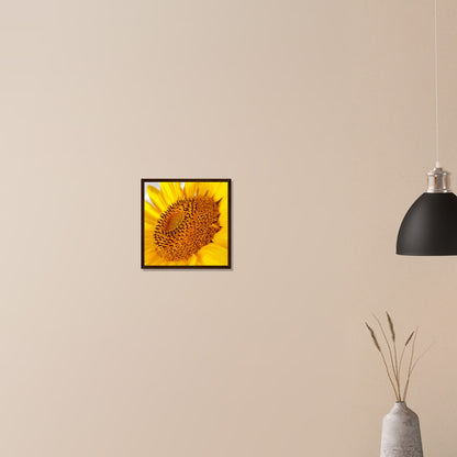 Golden Glow of Summer - Framed Poster - JDivine 