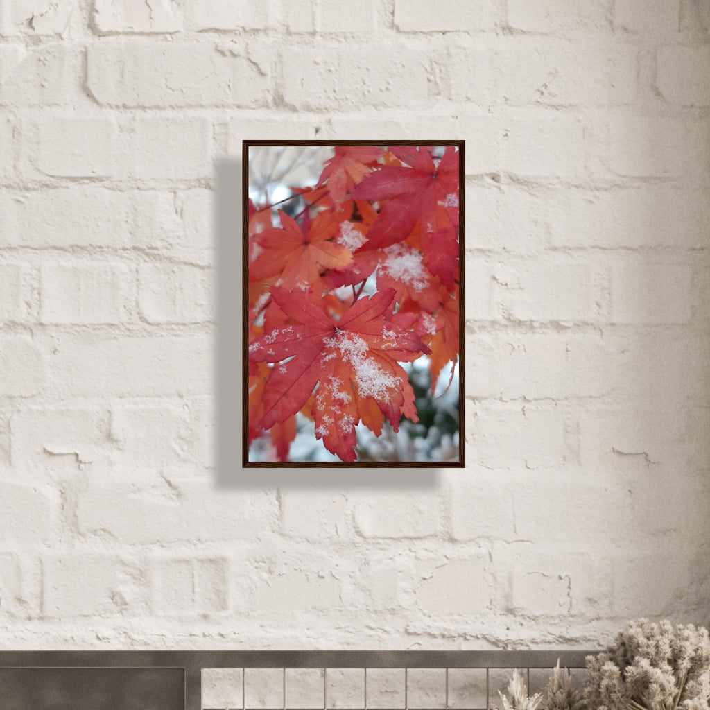 Snow-Kissed Maple Leaves - Framed Poster - JDivine 