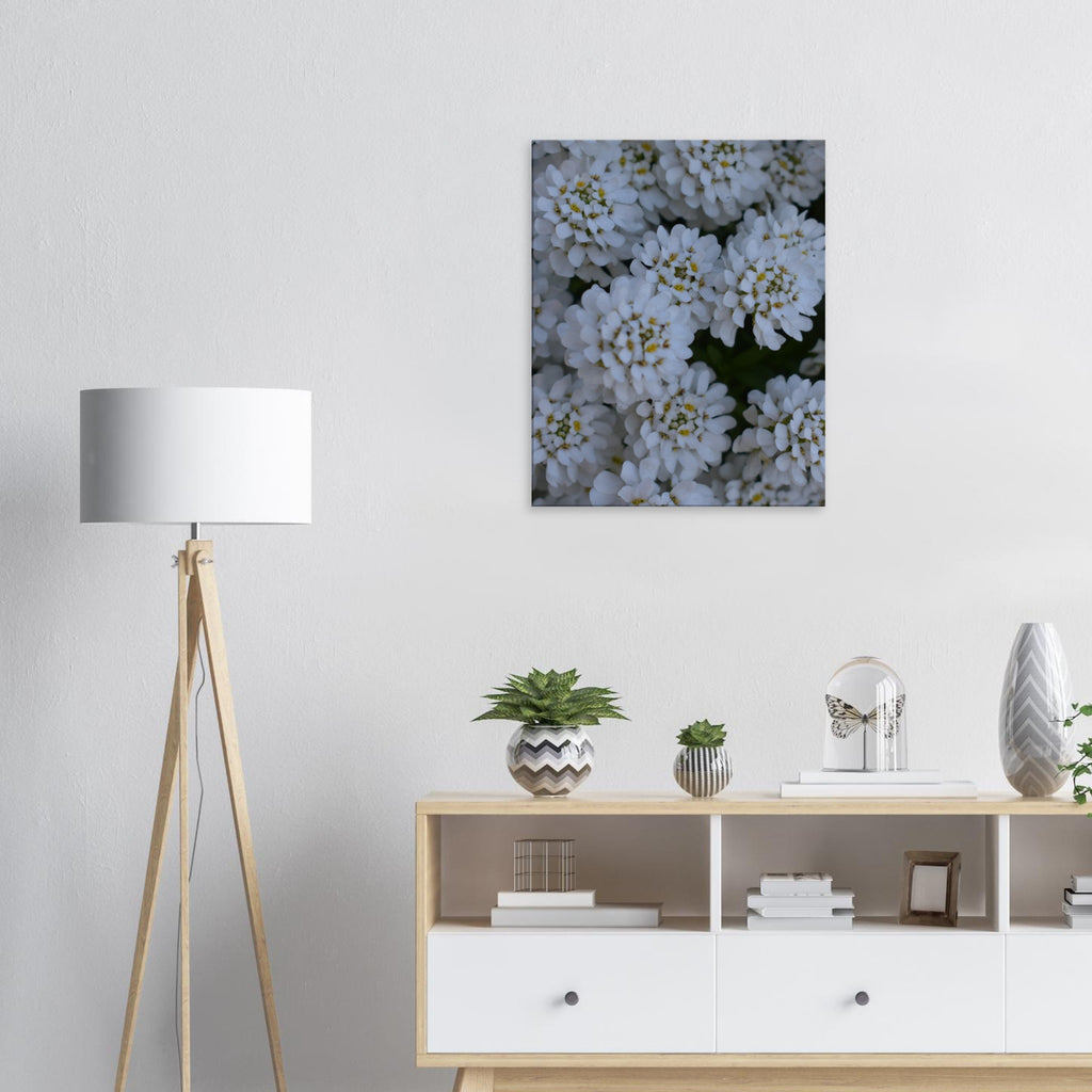 Blossom Delicacy - Canvas - JDivine 