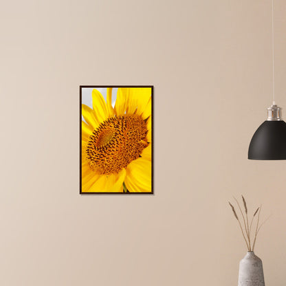 Golden Glow of Summer - Framed Poster - JDivine 