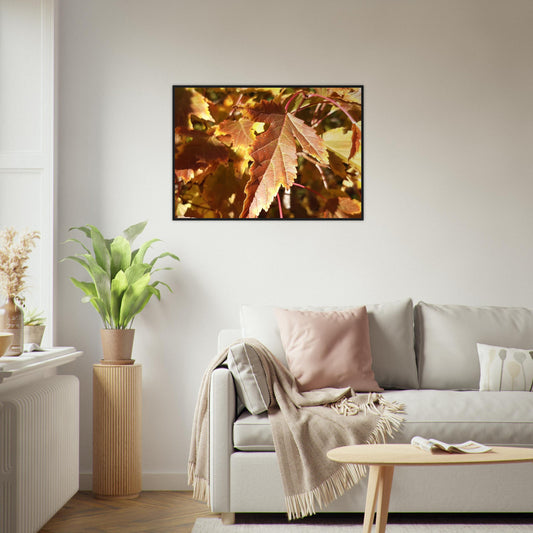 Autumn's Golden Glow - Framed Poster - JDivine 