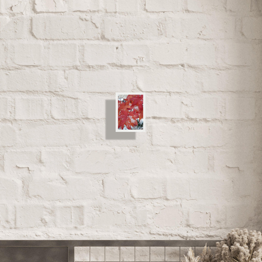 Snow-Kissed Maple Leaves - Framed Poster - JDivine 