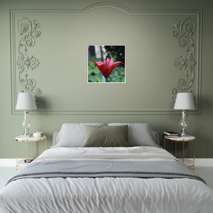 Crimson Embrace - Framed Poster - JDivine 