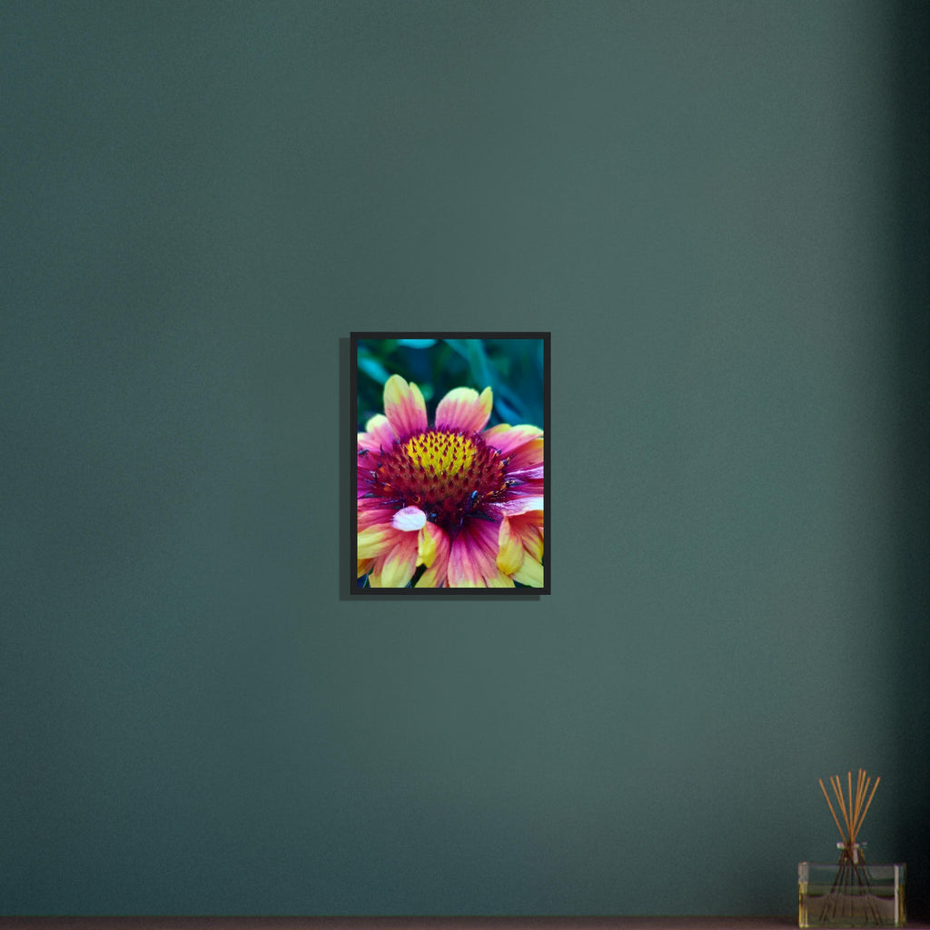 Vibrant Petal Symphony - Framed Poster - JDivine 