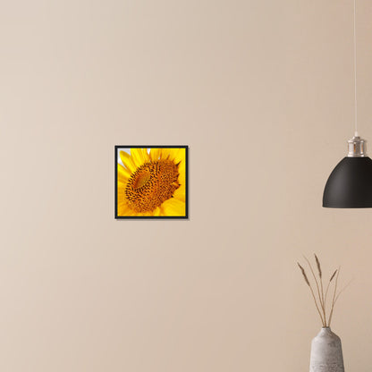 Golden Glow of Summer - Framed Poster - JDivine 