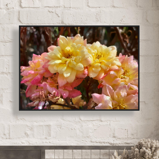 Soft Bloom Harmony - Framed Poster - JDivine 