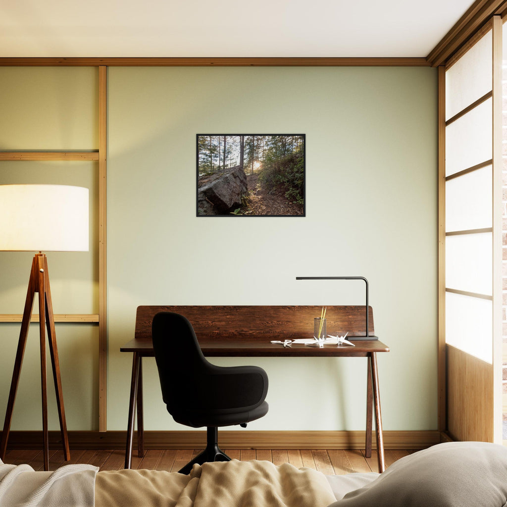 Forest Trail at Dawn - Framed Poster - JDivine 