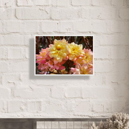 Soft Bloom Harmony - Framed Poster - JDivine 