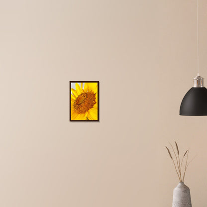 Golden Glow of Summer - Framed Poster - JDivine 