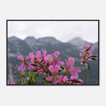 Alpine Bloom - Framed Poster - JDivine 