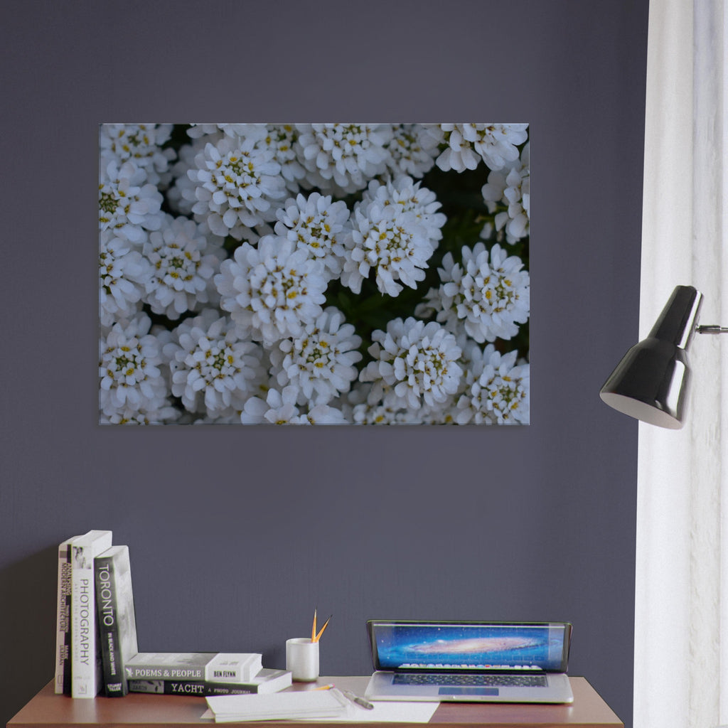 Blossom Delicacy - Canvas - JDivine 