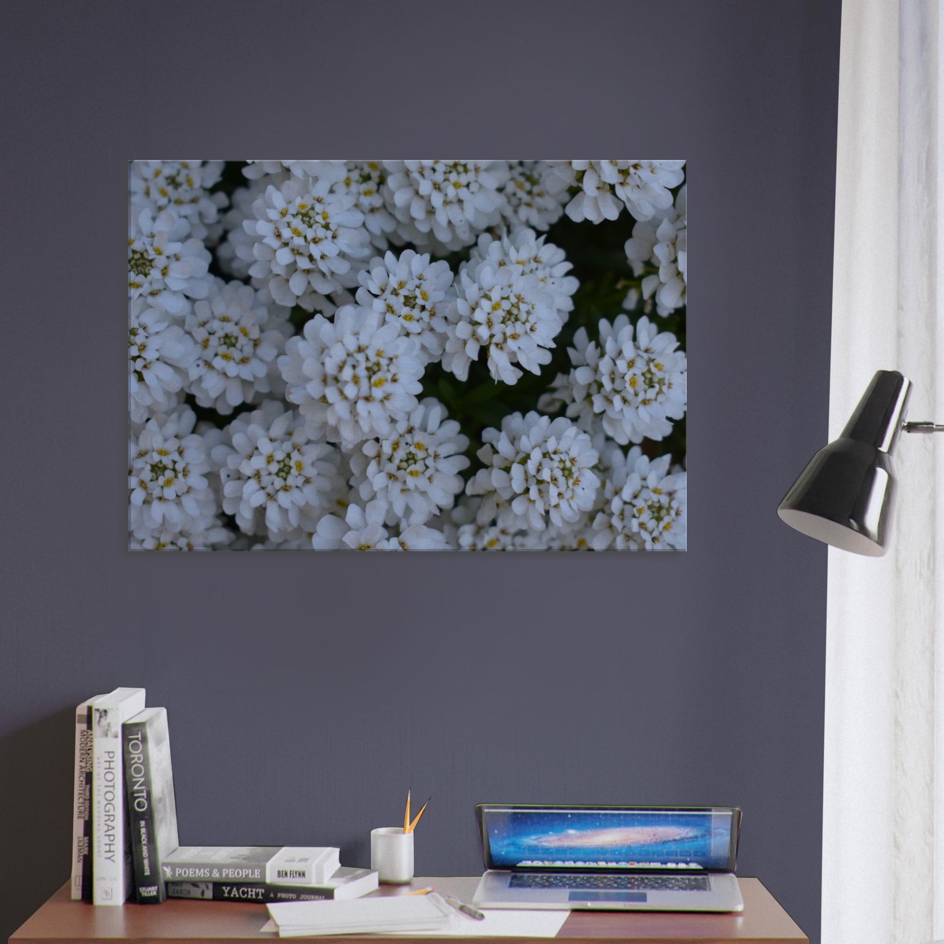 Blossom Delicacy - Canvas - JDivine 